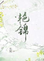 艳锦小说封面