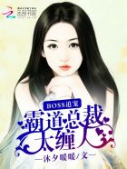 Boss追寵：霸道縂裁太纏人小说封面